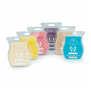 scentsy bars 6