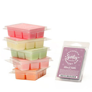 Scentsy 6-Pack