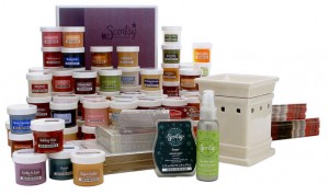 Scentsy Starter Kit