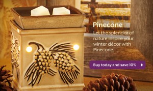 Scentsy Pinecone